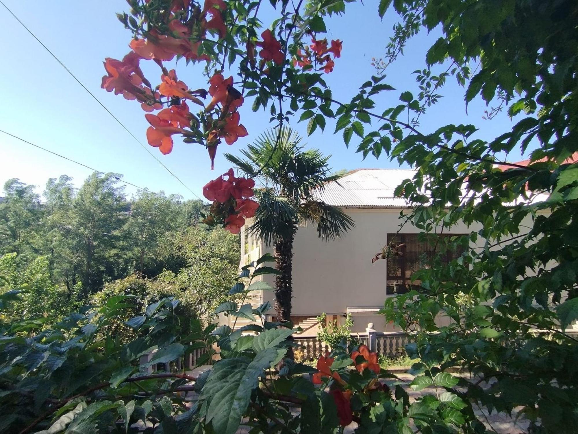 Hostel Kutaisi By Kote Екстер'єр фото